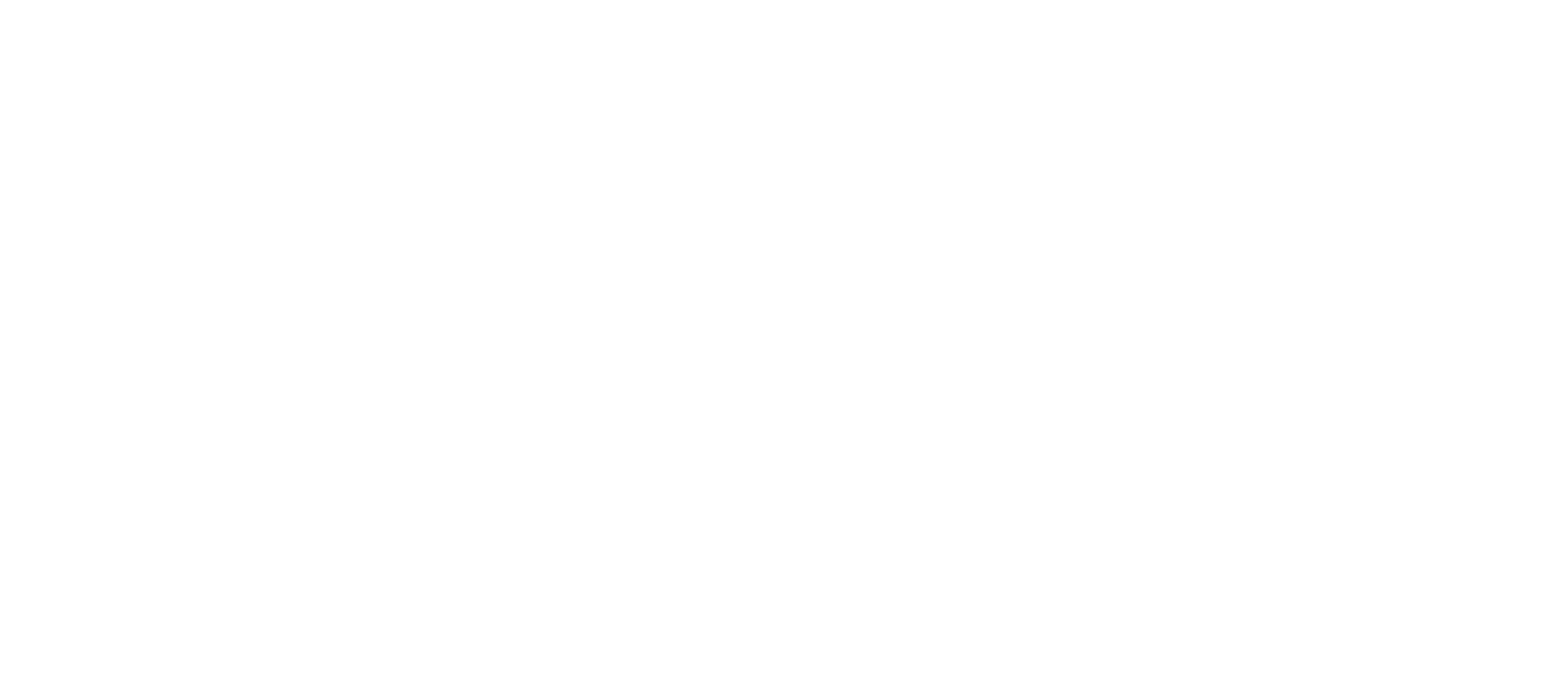 Emerging Artist 2024 Winner